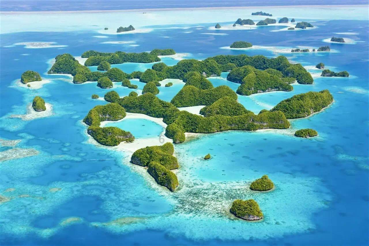 半条命：恐惧之泣